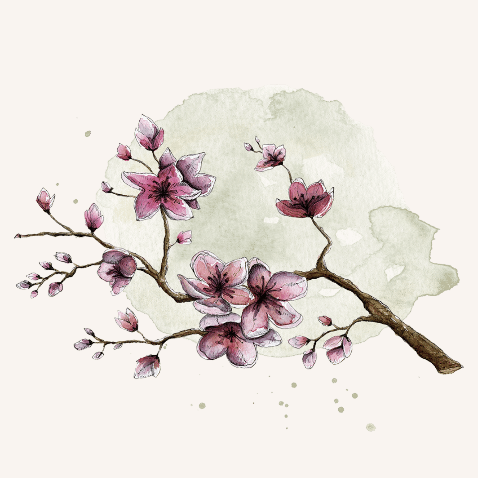 Square_TCM_paperlionsstudio