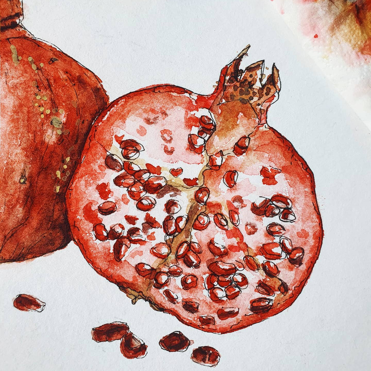 granatapfel_square_paperlionsstudio granatapfel_square_paperlionsstudio